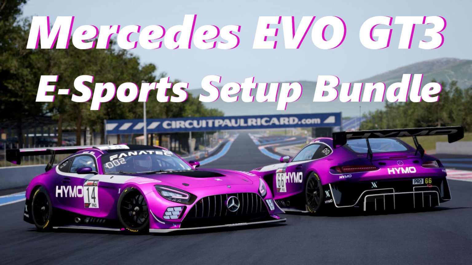 Mercedes EVO GT3 E Sports Setup Bundle Share Your Car Setups And